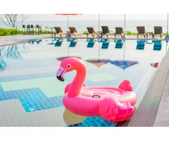 Find the Finest Pool Shops in Adelaide