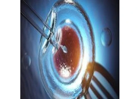 IVF Support Clinic in Melbourne - Long Life Health