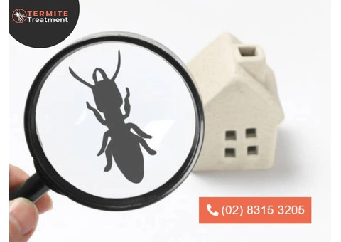 Expert Termite Protection Services in Sydney: Act Before It's Too Late