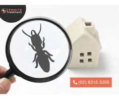 Expert Termite Protection Services in Sydney: Act Before It's Too Late