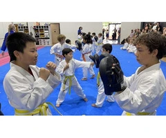 Learn About The Physical Fitness and Health Benefits of Kids Karate
