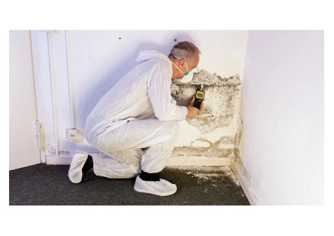 Pest Control Coomera