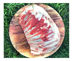 Lamb Brisket | RogueRaw