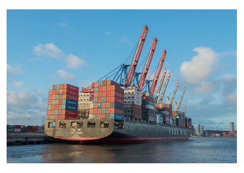 Container Side Loader