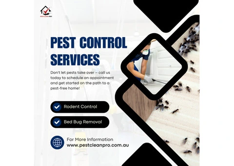 Pest Control Services in Ipswich