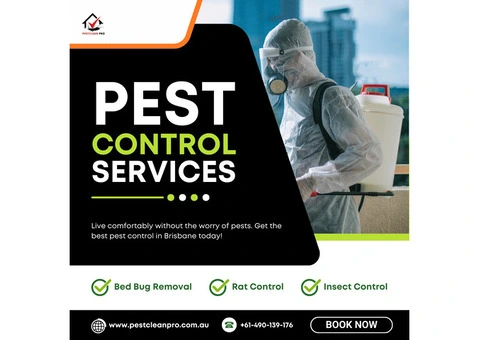 Pest Control Services in Moreton Bay