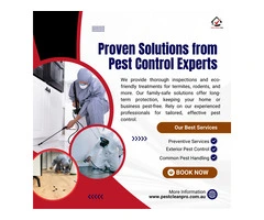 Pest Control Services in Redland City