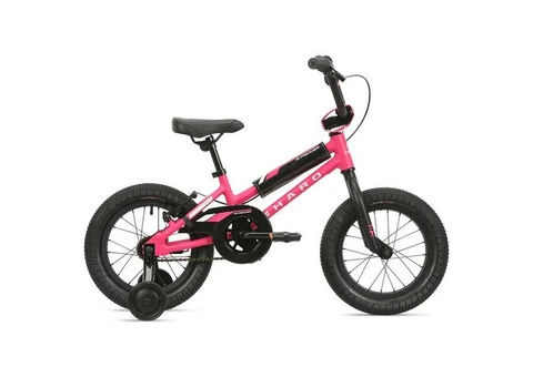 Top GT BMX Bikes for Beginners