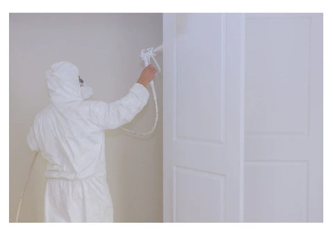 Step-by-Step Guide to Painting Internal Doors