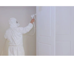 Step-by-Step Guide to Painting Internal Doors