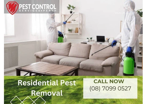 Efficient Residential Pest Removal in Perth: Prompt Solutions!