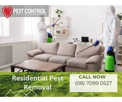 Efficient Residential Pest Removal in Perth: Prompt Solutions!