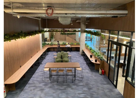 How Melbourne Indoor Plants Improve Air Quality and Well-being?