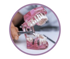 Comprehensive General Dentistry at Modern Dental Centre