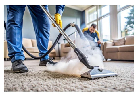 AMS Carpet Cleaning Solution in Perth, WA in the Budget - 2/4