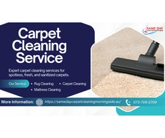 Revive Your Carpets with Morningside’s Best Cleaning Services