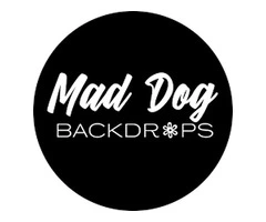 Glamour on Demand: Shimmer Wall Hire for Any Occasion