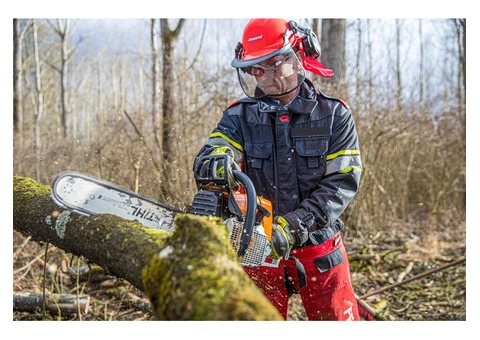 Reliable Tree Cutting Solutions in Adelaide