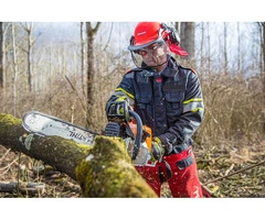 Reliable Tree Cutting Solutions in Adelaide