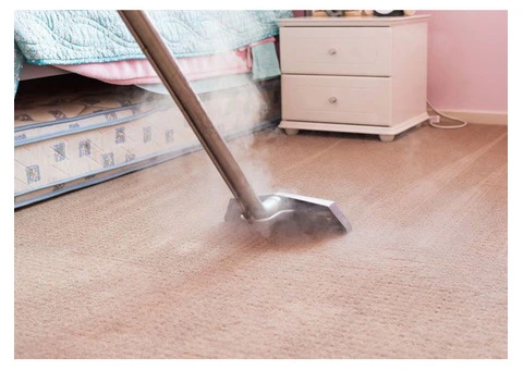 Transform Your Home With Professional Carpet Steam Cleaning