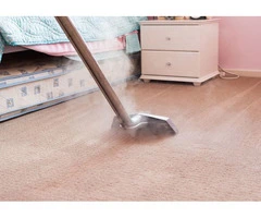 Transform Your Home With Professional Carpet Steam Cleaning