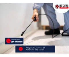 Eco-Friendly Organic Pest Control Services on the Gold Coast