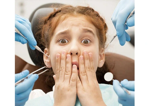 Experience Comfort and Safety at Grandis Dental in Banksia Grove
