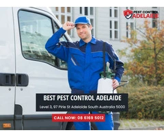 Trusted Pest Control Services at Adelaide Airport