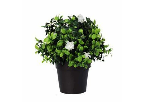 Install Fake Tulips in Vase to Brighten Your Space