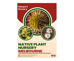 Transform Your Garden with Melbourne's Best Native Plant Nursery