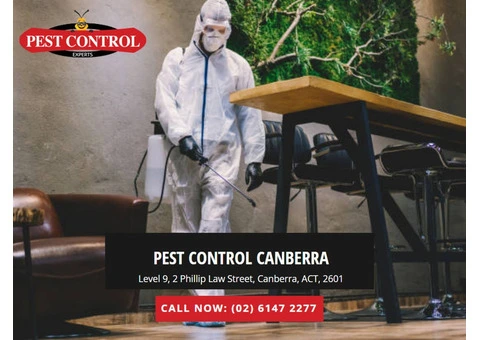 Professional Pest Control in Queanbeyan for a Pest-Free Space