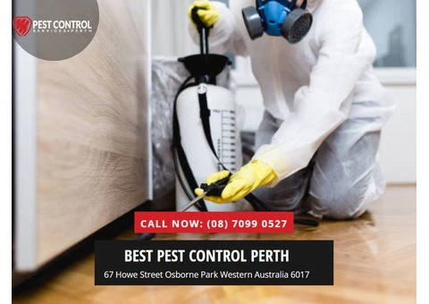 Professional Pest Control in Tapping – Eliminate Pests for Good