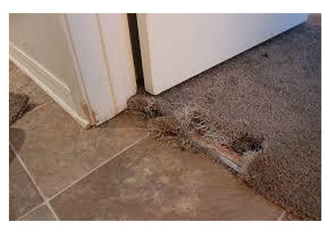 Brisbane Carpet Repair - 1/5