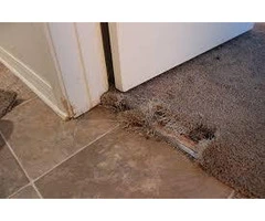 Brisbane Carpet Repair
