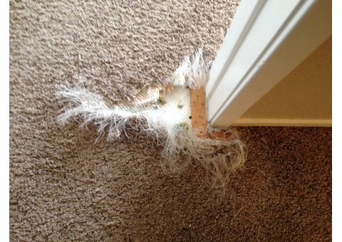 Brisbane Carpet Repair - 5/5