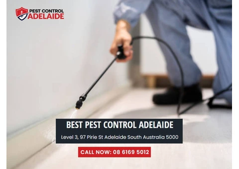 Pest Control Gawler: Trusted Professionals for Effective Pest Removal