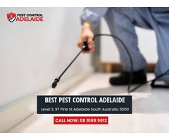 Pest Control Gawler: Trusted Professionals for Effective Pest Removal