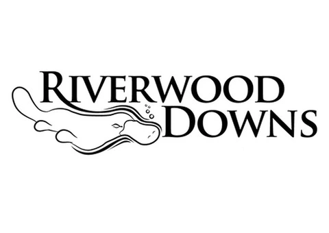 Pet-friendly accommodation NSW: ideal gateway for the pets