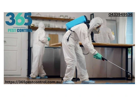 Pest Control Service – Fast, Effective Solutions!