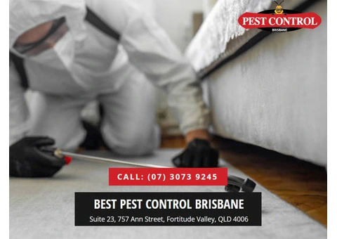 Pest Control Browns Plains: Professional Pest Services at Your Door