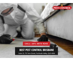 Pest Control Browns Plains: Professional Pest Services at Your Door