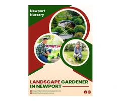 Transform Your Garden with a Top Landscape Gardener in Newport