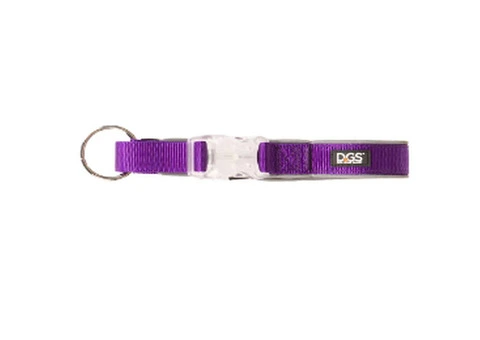 DGS Comet LED Safety Collar (Purple)