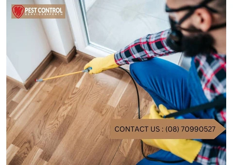 Reliable Pest Control: Midland’s Leading Service for Home Protection