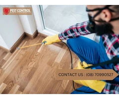 Reliable Pest Control: Midland’s Leading Service for Home Protection