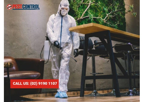 Pest Control for Commercial Buildings: Protect Your Business Today