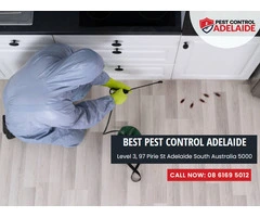 Seaford Pest Control Services: Your Local Experts on Call