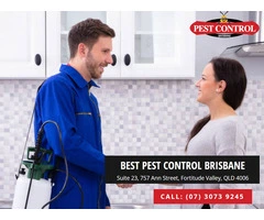 Pest Control Redland Bay: Protecting Homes from Infestations
