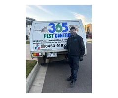Reliable Pest Control Services in Wyndham Vale
