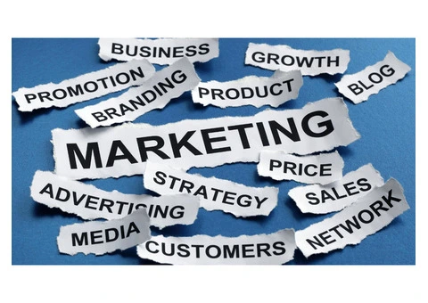 Expert Marketing in Adelaide to Elevate Your Brand